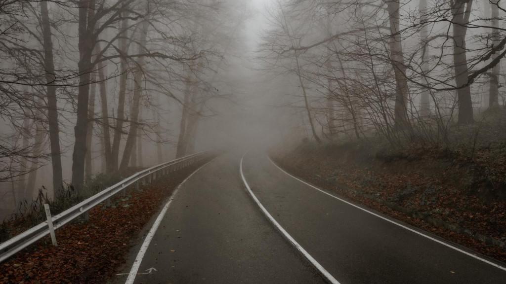 საბადურის ტყე - Sabaduri forest