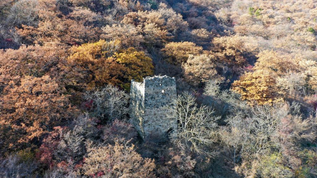 ციხედიდი