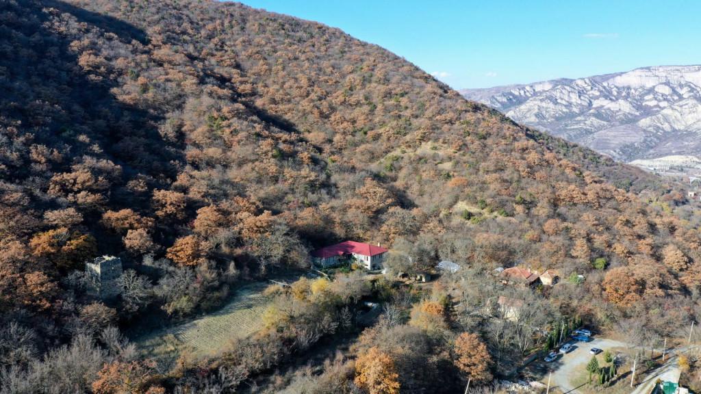 ციხედიდი