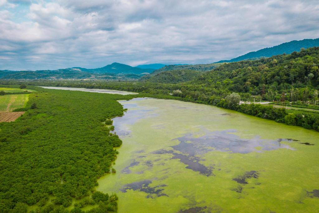 ჯაპანის ტბა, ნარიონალი ტბა, ლანჩხუთი, გურია - Japani Lake, Naroni Lake, Lanchkhuti, Guria