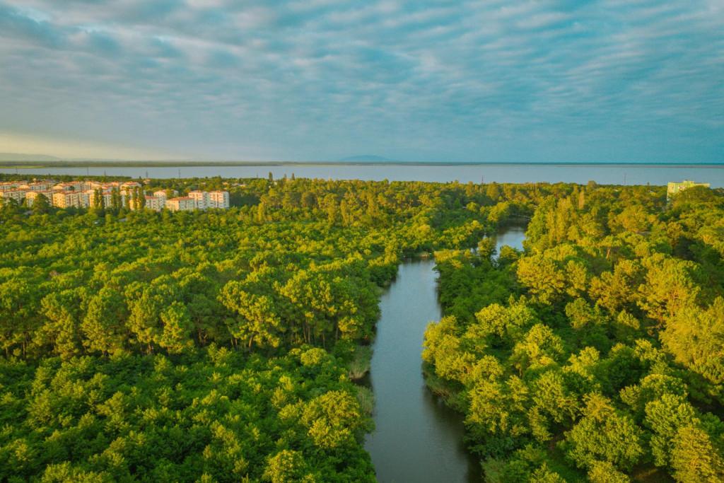 ოქროს ტბა, ფოთი, სამეგრელო - Golden Lake, Poti, Samegrelo