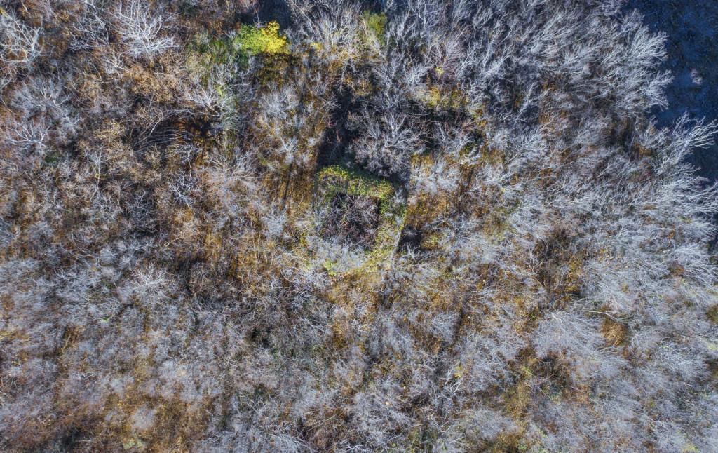 კოტიანეთის ციხე