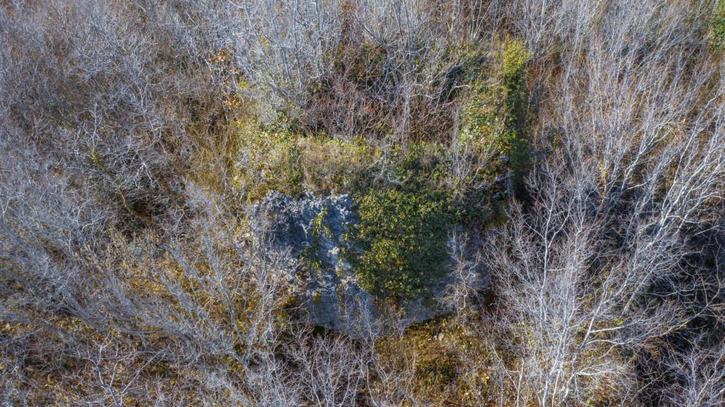 კოტიანეთის ციხე