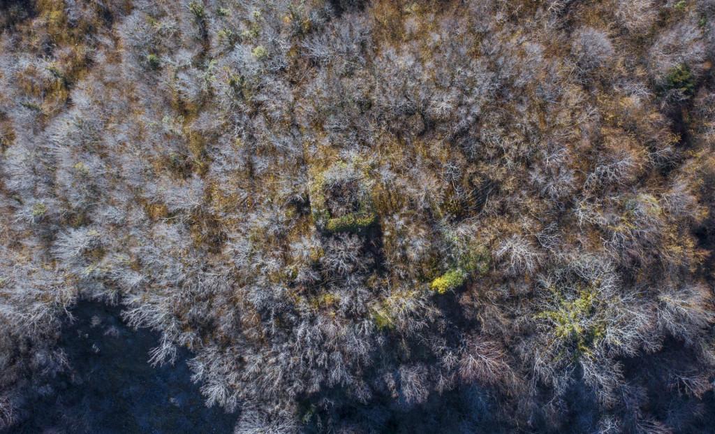 კოტიანეთის ციხე