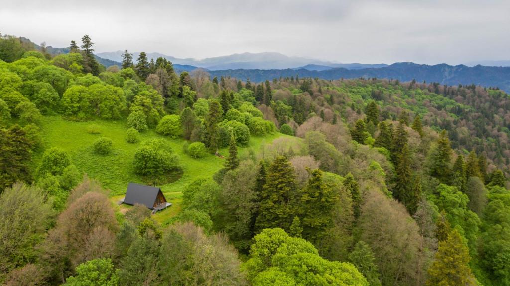 ნეძვის ეროვნული პარკი ბილიკი