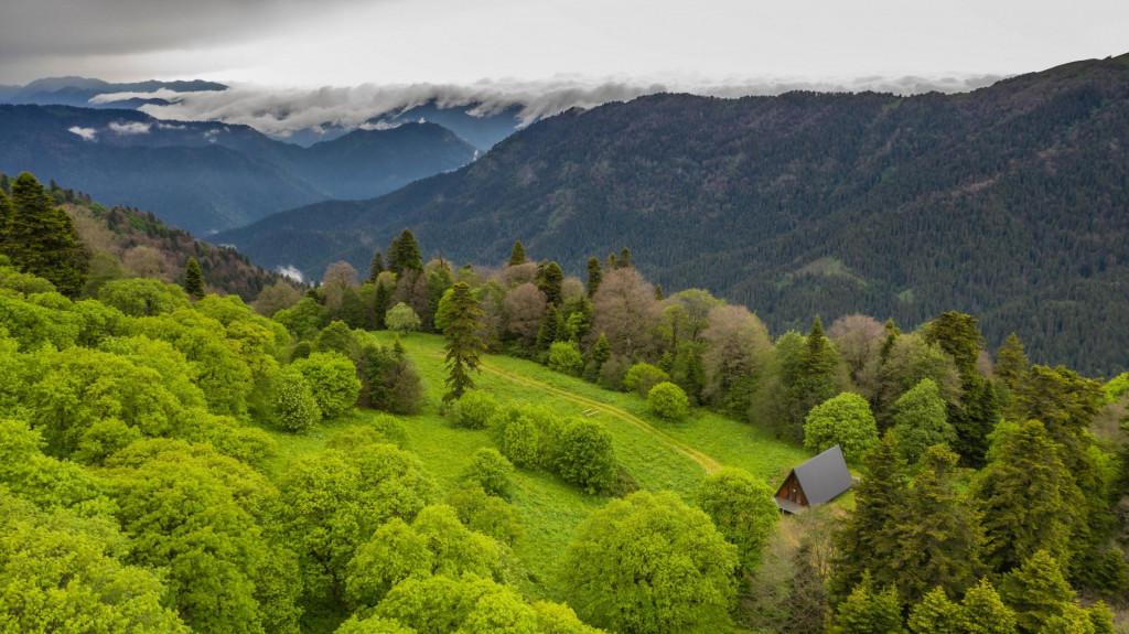 ნეძვის ეროვნული პარკი ბილიკი