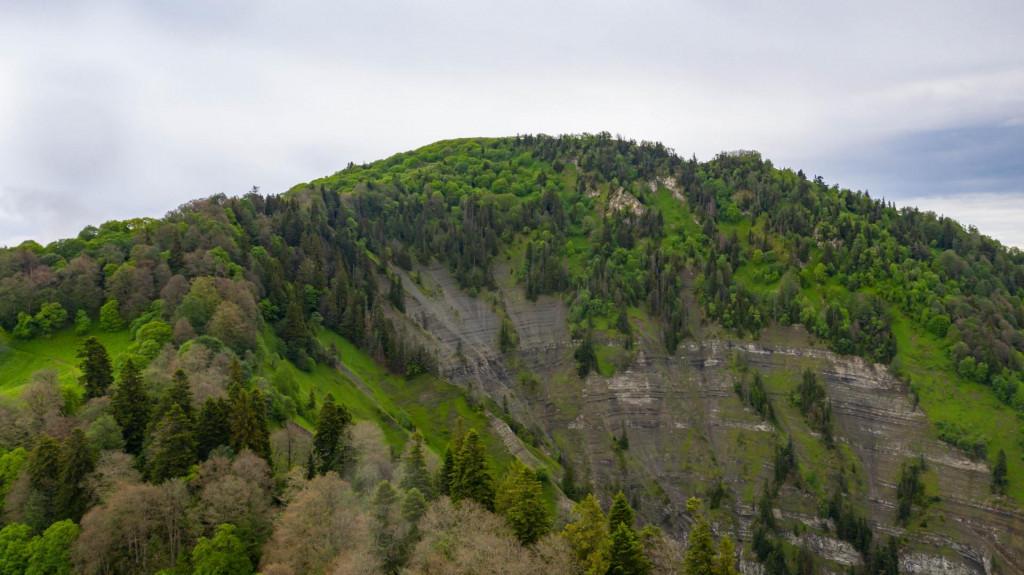 ნეძვის ეროვნული პარკი ბილიკი