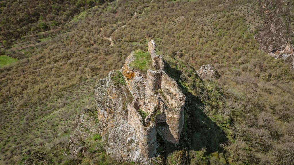 ბერდიკის ( ფოლადაურის ) ციხე - Berdiki fortress ( Poladauri castle )