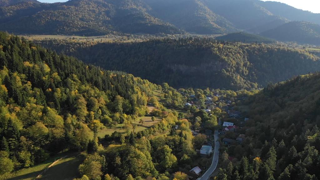ტიმოთესუბანი, ბორჯომი - Timotesubani, Borjomi