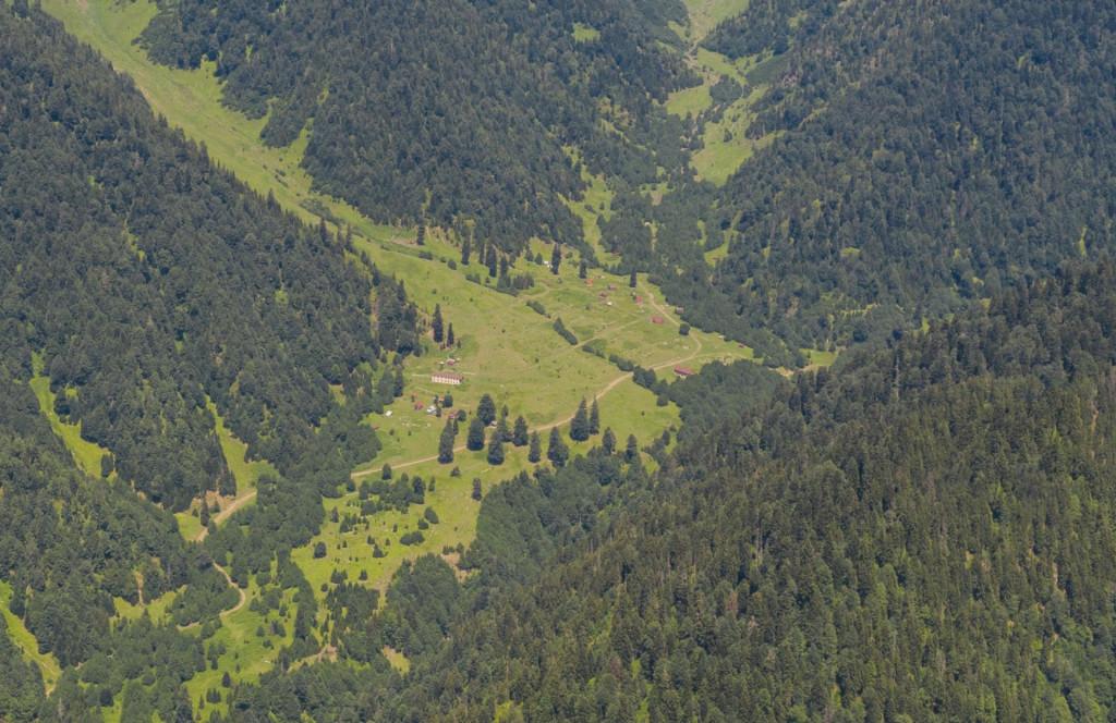 ლებარდე