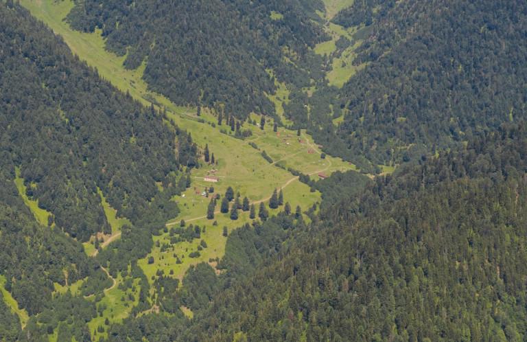 ლებარდე