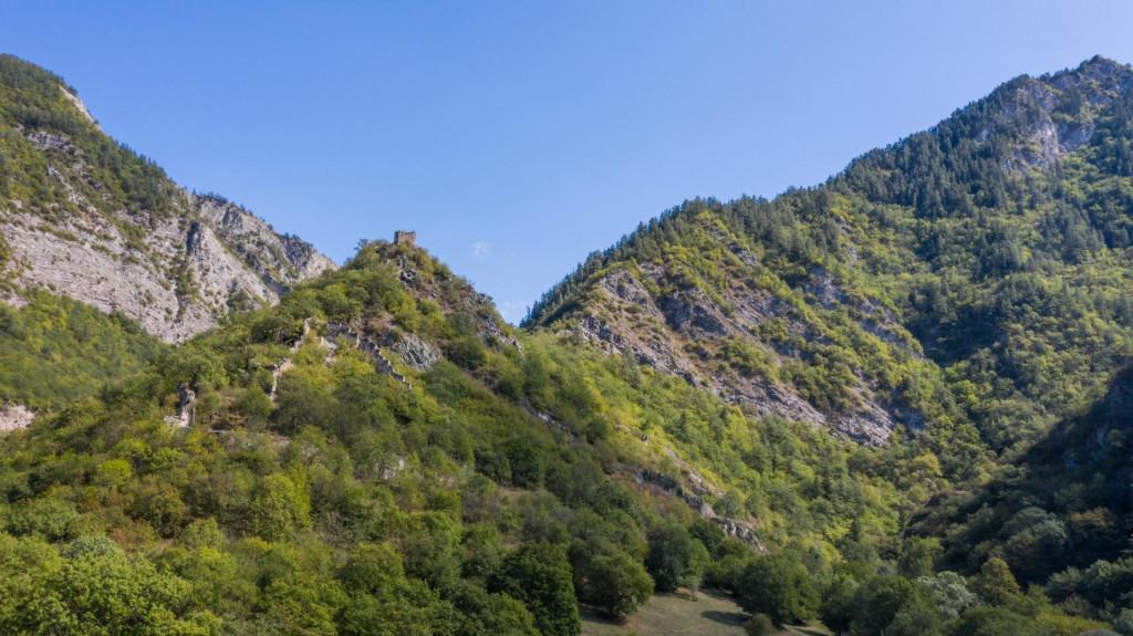 რკონის ციხე, Castle