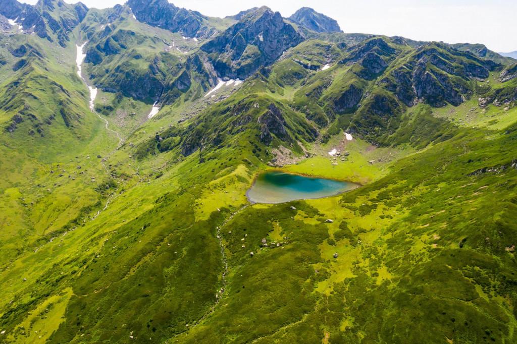 ლებარდეს დიდი ტობა