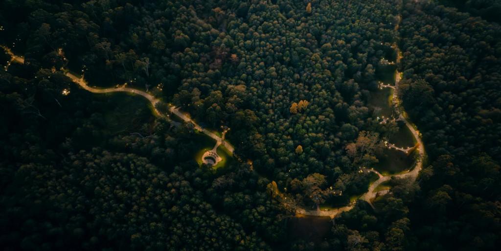 მუსიკოსთა პარკი