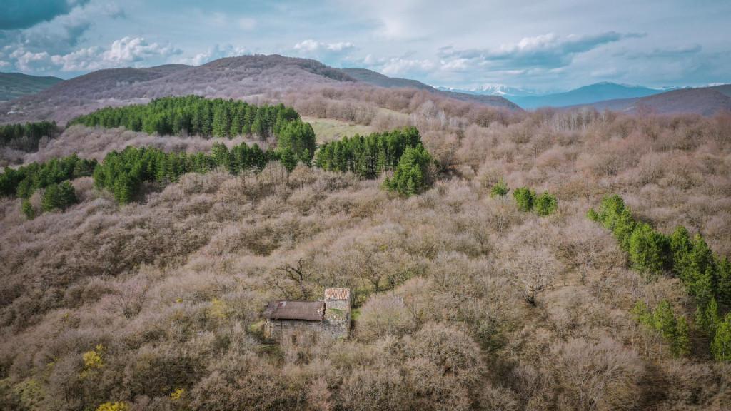 ჟალეთის სამნავიანი ბაზილიკა ( წმ. გიორგის ხატი ) - Zaleti three-nave basilica (St. George\'s church)