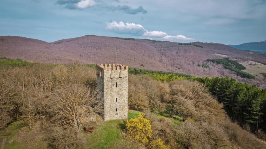 ერწოს ციხე - Ertso fortress