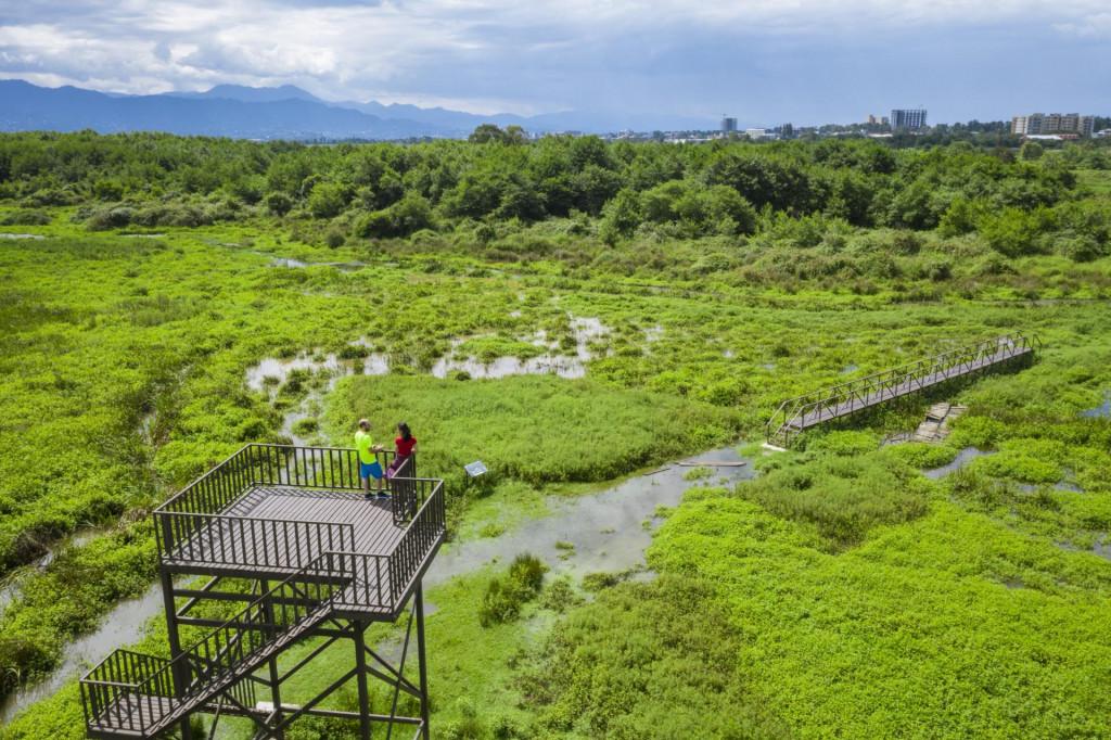 Kobuleti National Park, ეროვნული პარკი