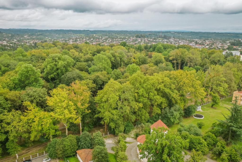 ზუგდიდის ბოტანიკური ბაღი, Zugdidi Botanical Garden
