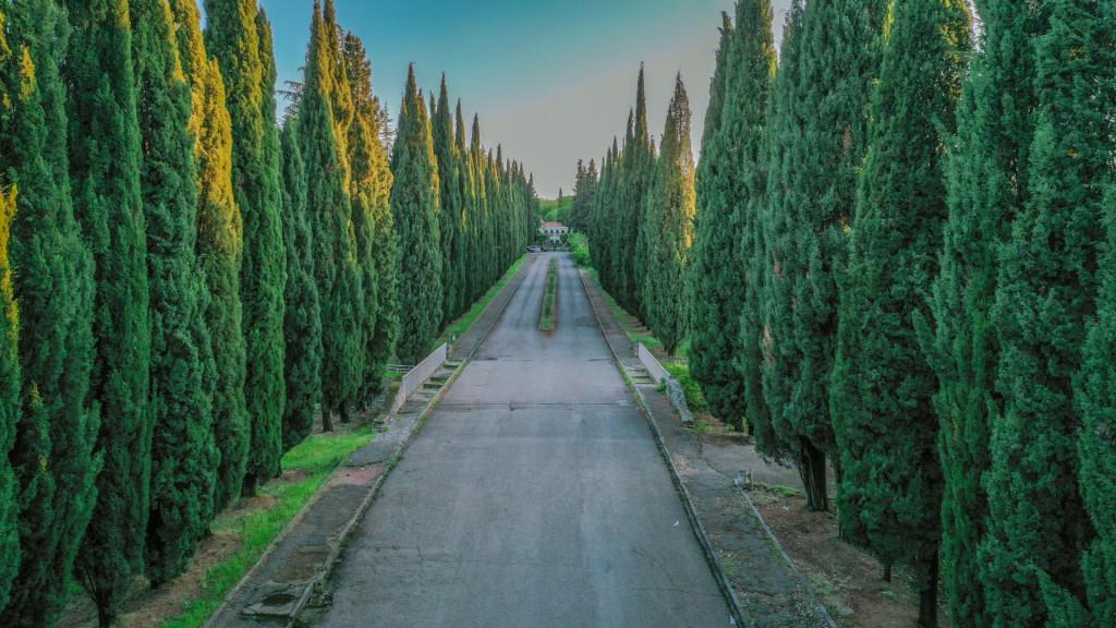 წინანდალი, წინანდლის ალექსანდრე ჭავჭავაძის სახლ-მუზეუმი - Tsinandali Alexander Chavchavadze Museum