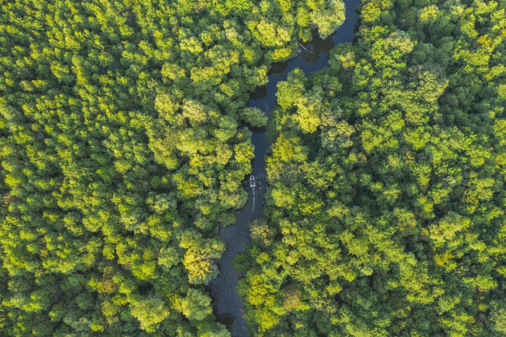 პალისტომის ტბა, გურია, სამეგრელო - Lake Palistom, Guria, Samegrelo Озеро Палистоми