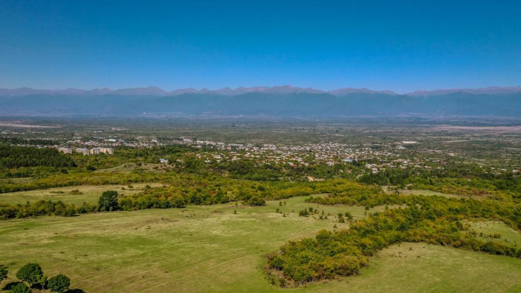 გურჯაანი