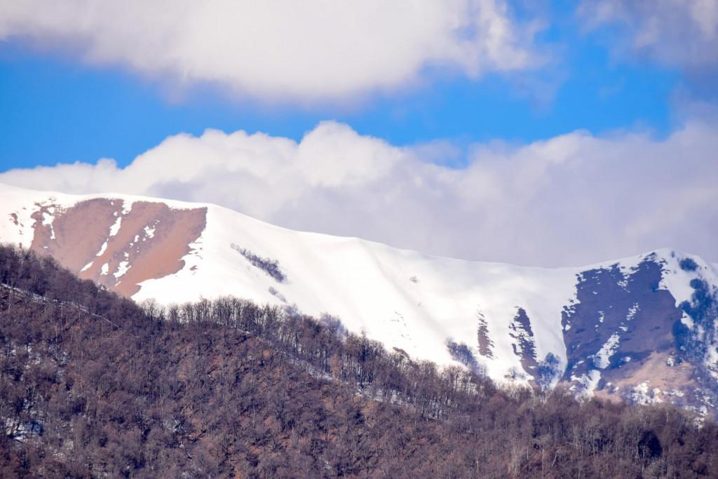 ჩარგალი