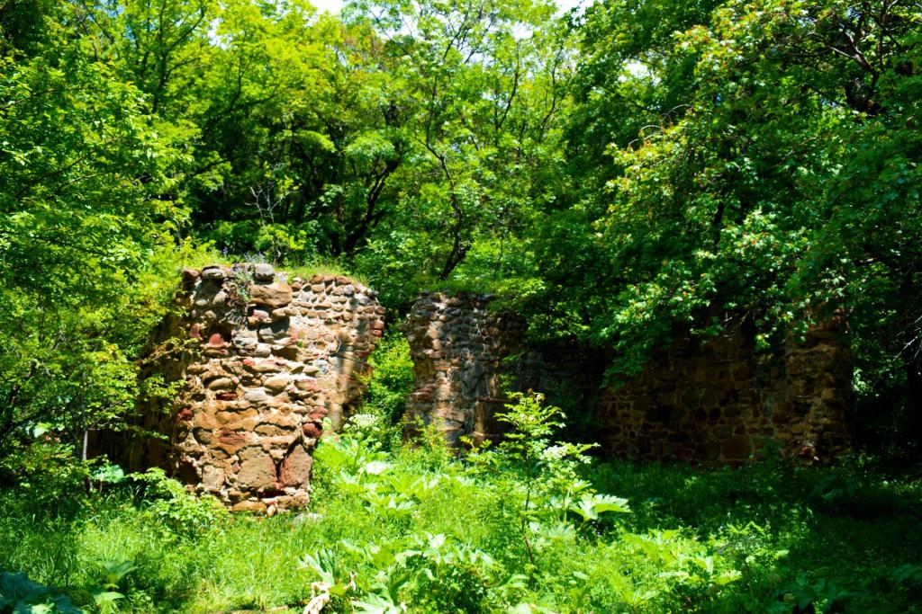 ვეჯინის ციხე-დარბაზი