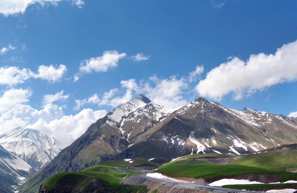 mwvervali deda ena summit gogebashvili