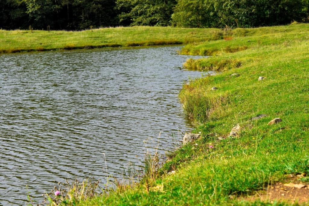 უსახელოს ტბა