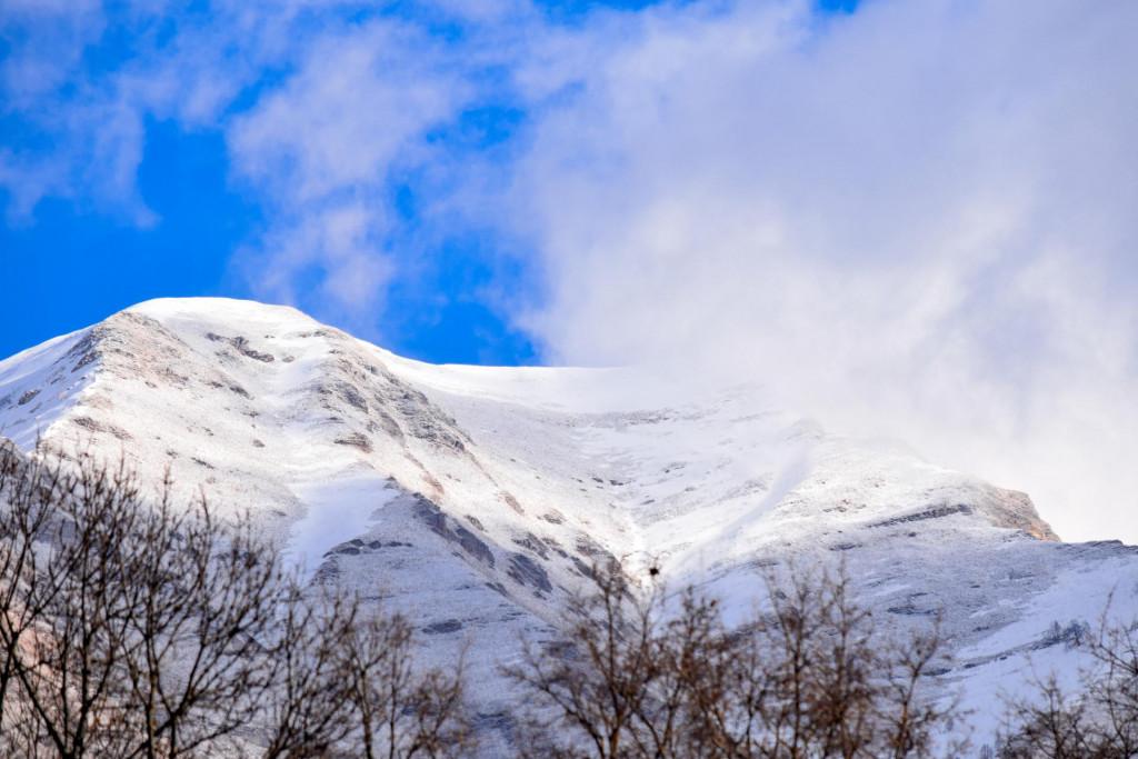 ჩარგალი