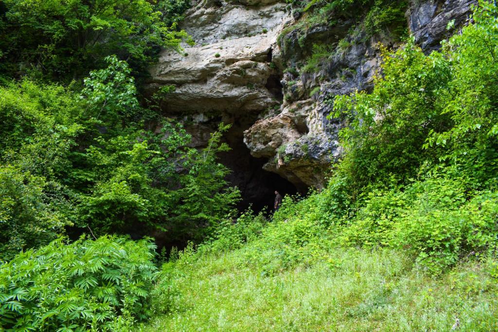 ხვედელიძეების კლდის მღვიმე ზოდში