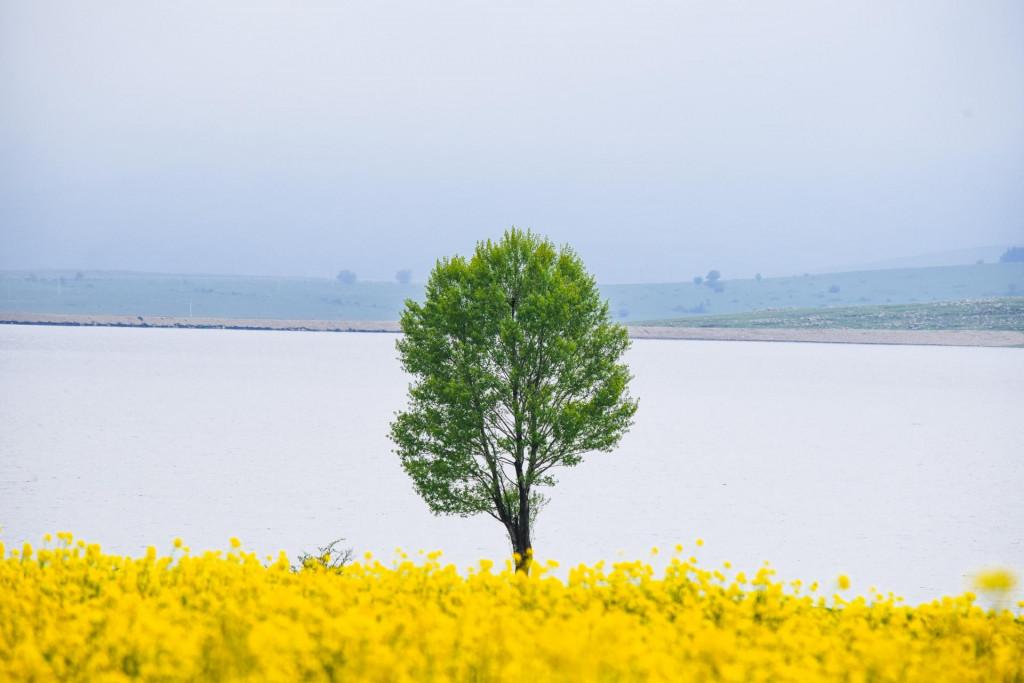 დმანისის (იაყუბლოს) წყალსაცავი