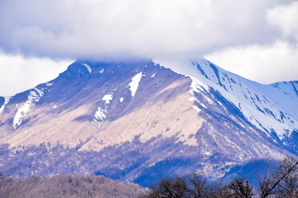 ჩარგალი