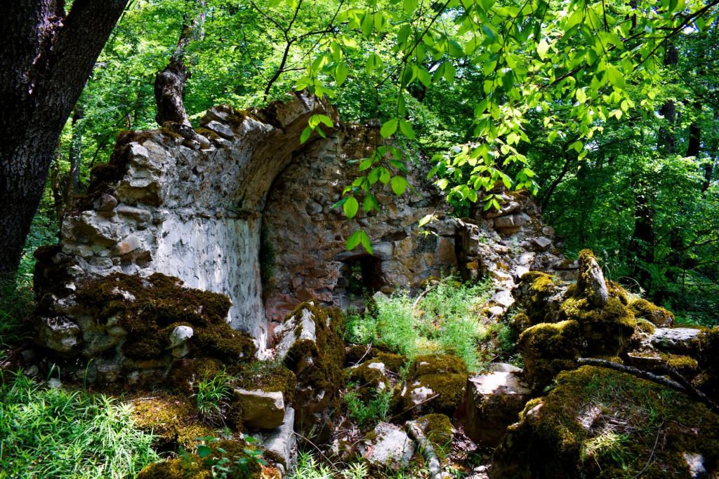 ვეჯინის ციხე-დარბაზი