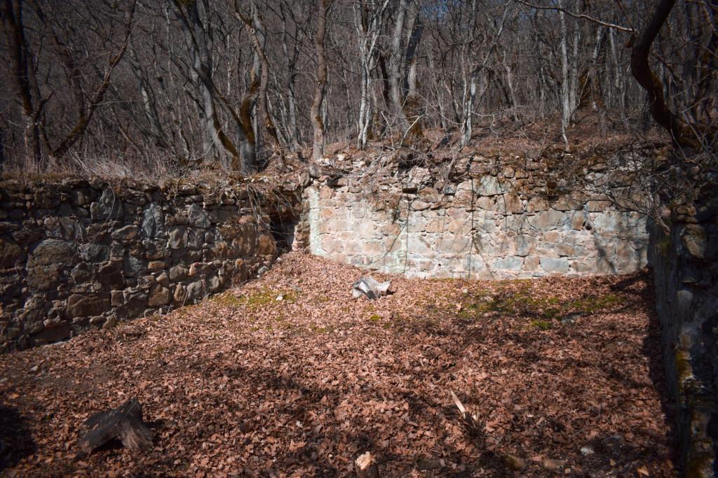 ვეჯინის ციხე-დარბაზი