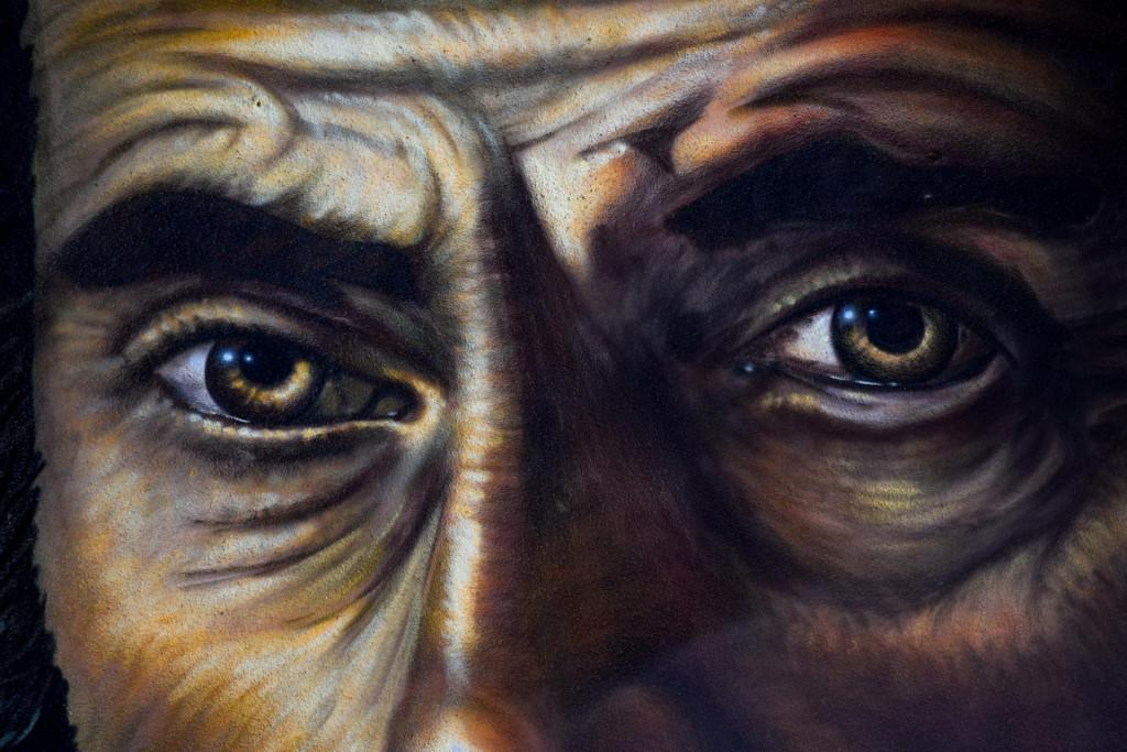 დავით აღმაშენებლისა და დიდგორის ბრძოლის გრაფიტი