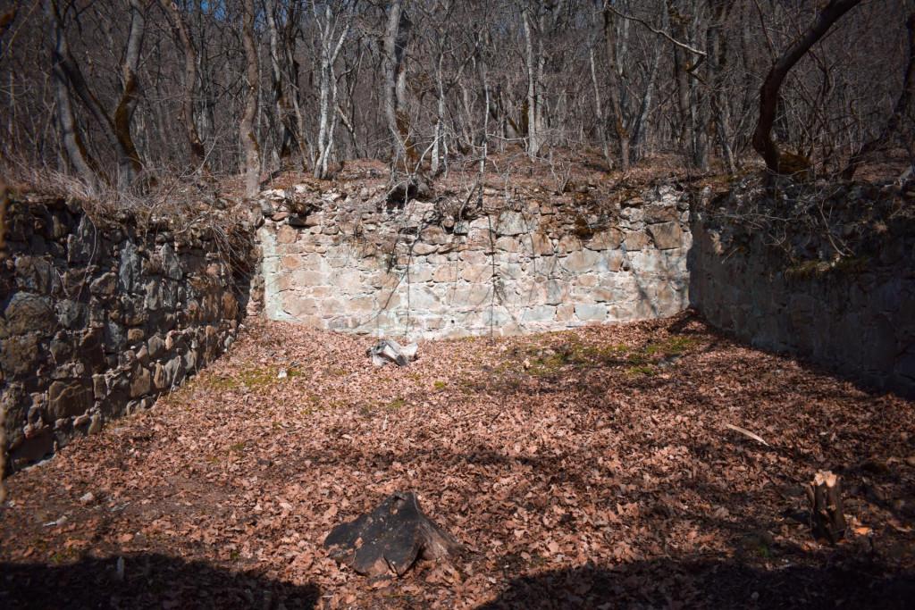 ვეჯინის ციხე-დარბაზი