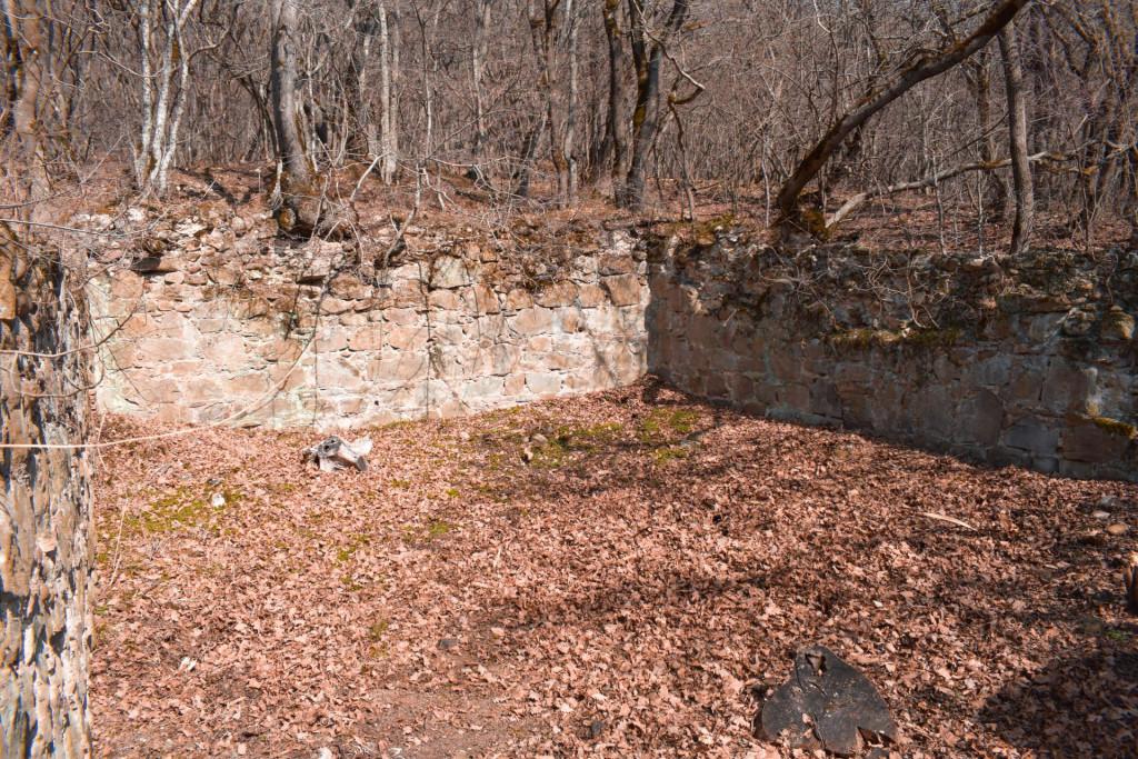 ვეჯინის ციხე-დარბაზი