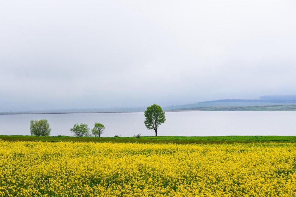 დმანისის (იაყუბლოს) წყალსაცავი