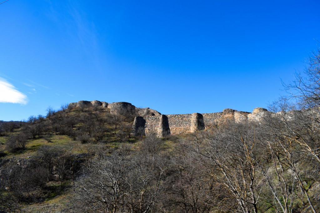 დმანისის სიონი და ნაქალაქარი