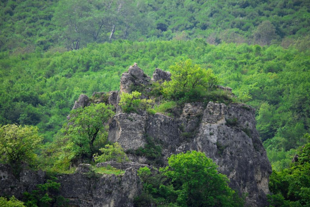 ხორნაბუჯის ციხე-სიმაგრე