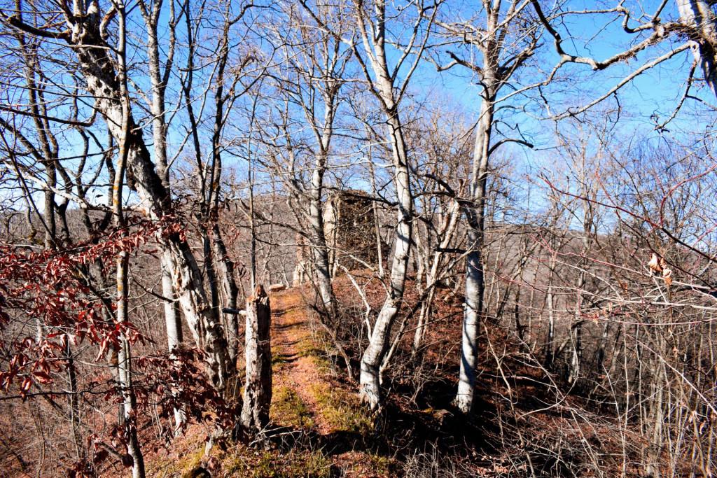 შარაოს წმინდა გიორგის ეკლესიის კომპლექსი