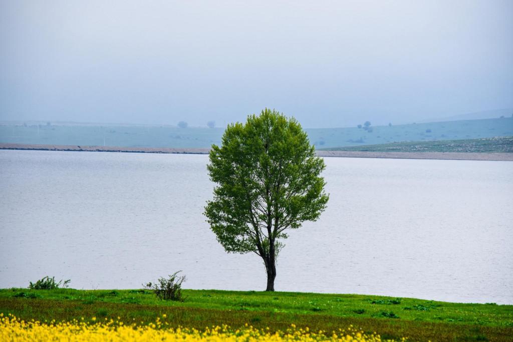 დმანისის (იაყუბლოს) წყალსაცავი