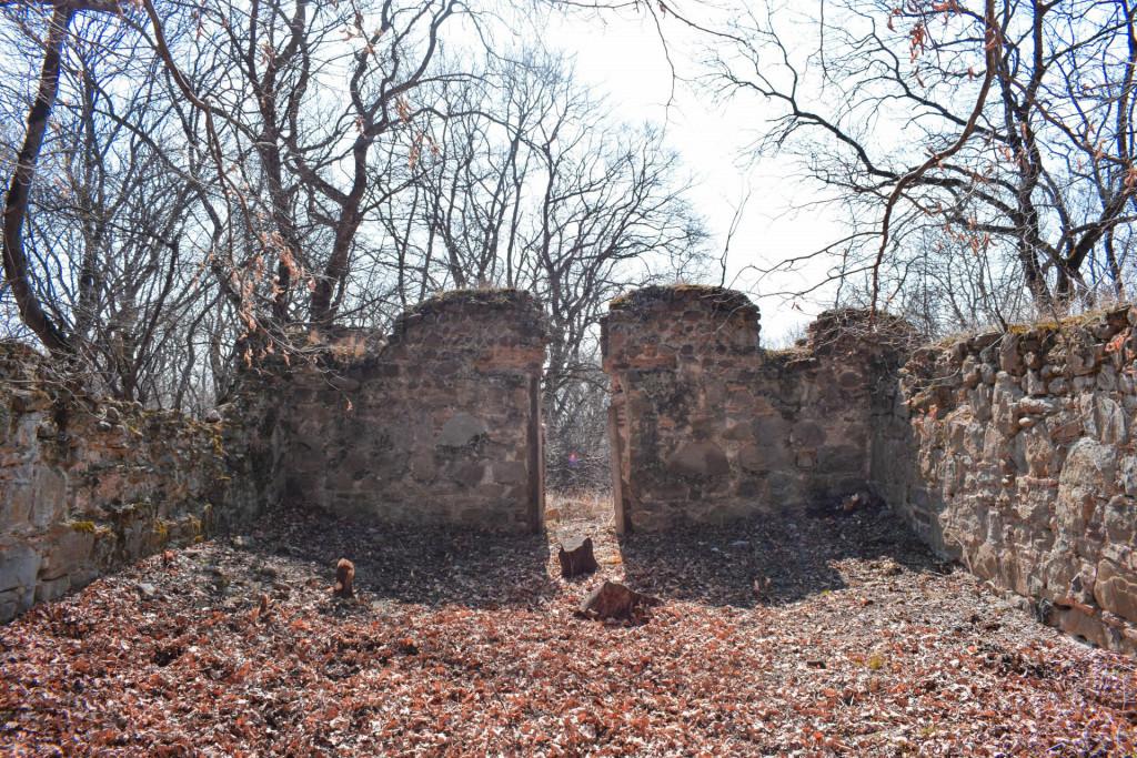 ვეჯინის ციხე-დარბაზი