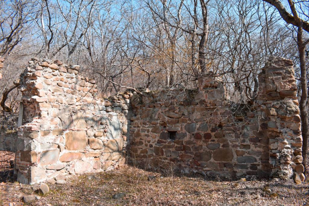 ვეჯინის ციხე-დარბაზი