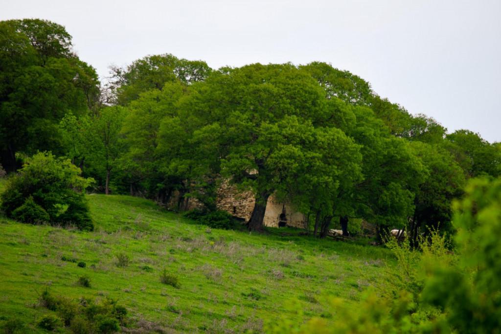 ბენისის ღვთისმშობლის ეკლესია