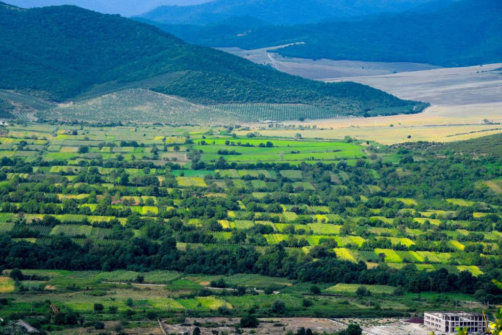 ყორანთას კომპლექსი