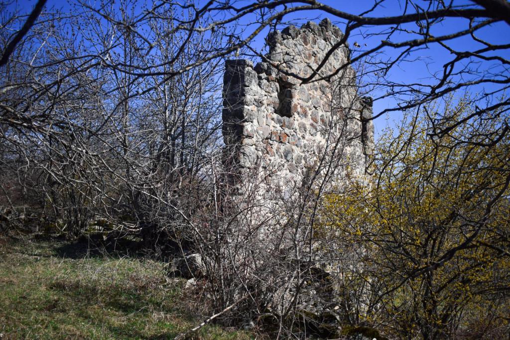 სამშვილდის სასახლეები