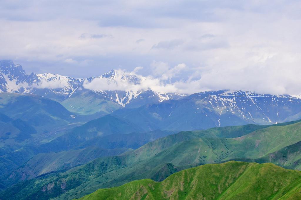 დათვისჯვარი