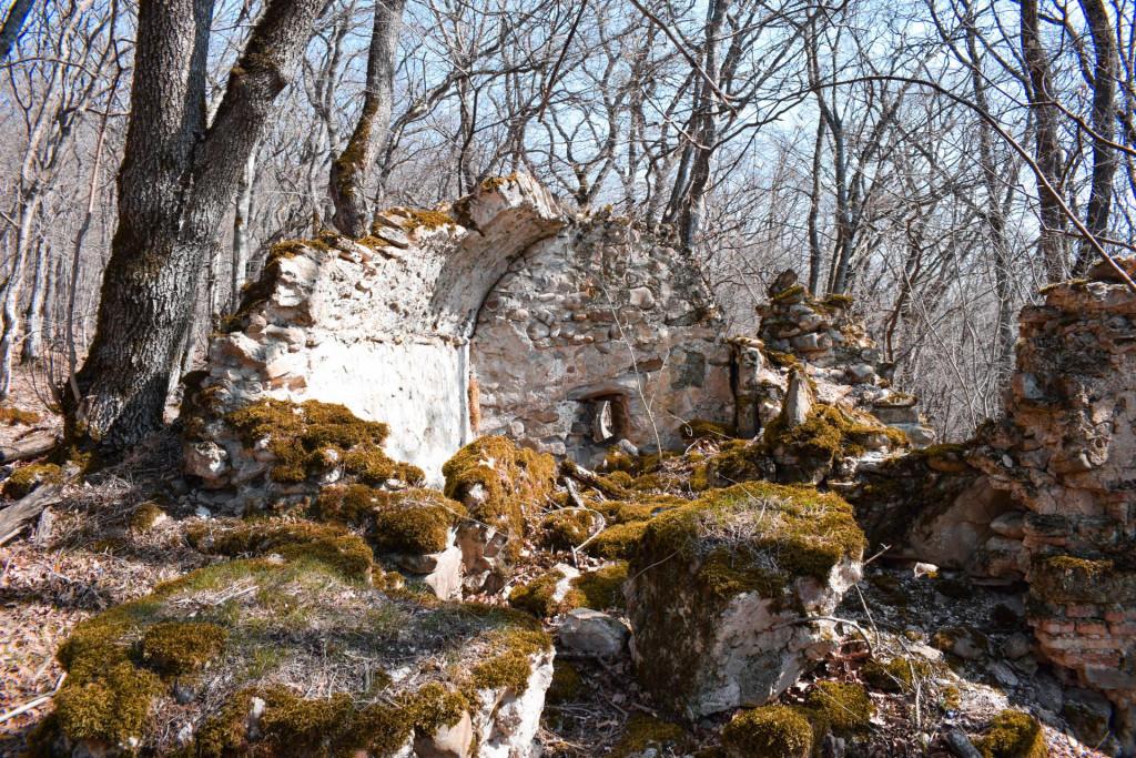 ვეჯინის ციხე-დარბაზი